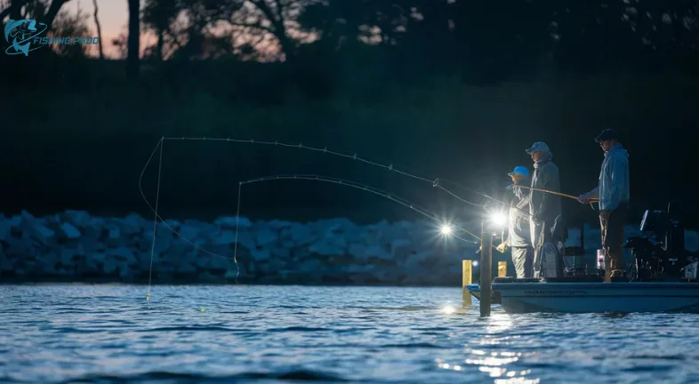 Techniques for Night Fishing