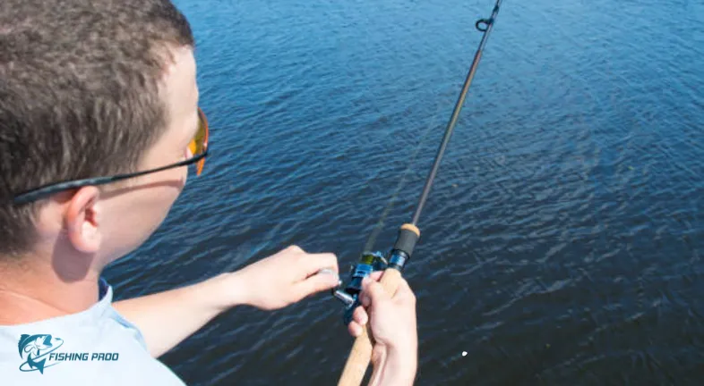 1. Choose the Right Fishing Rods