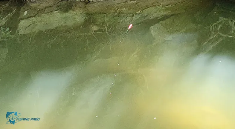 3. Choose the Right Fishing Lines