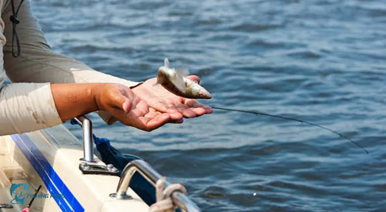 6. Determine the Fishing Depths