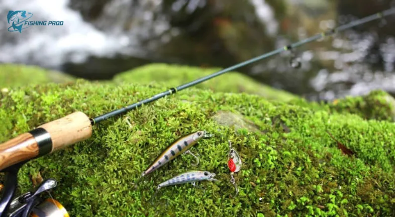 How to set up a rod for tiny fish